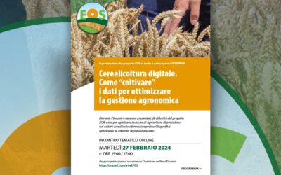 WEBINAR / Cerealicoltura digitale. Come “coltivare” i dati per ottimizzare la gestione agronomica