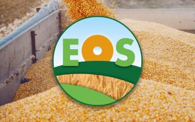 Mattia Bernardi (Terre dell’Etruria): «La cooperazione può giocare un ruolo chiave nell’utilizzo dell’agricoltura di precisione in Toscana»