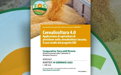 WORKSHOP / Cerealicoltura 4.0. Applicazione di agricoltura di precisione nella cerealicoltura toscana, il caso studio del progetto EOS