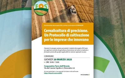 CONVEGNO / Cerealicoltura di precisione. Un Protocollo di coltivazione per le imprese che innovano